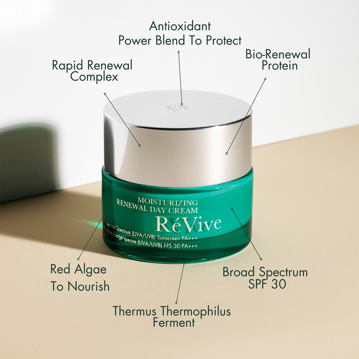 Moisturizing Renewal Day Cream / SPF 30